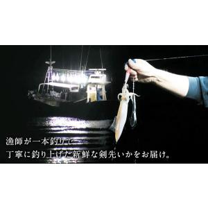 TVで紹介 呼子のイカ 呼子 剣先いか姿造り(...の詳細画像5