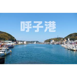 TVで紹介 呼子のイカ 呼子 剣先いか姿造り(...の詳細画像3