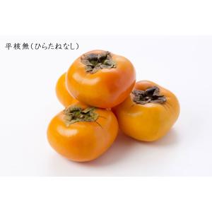 あんぽ 柿 8個入り 560g 贈答用 ギフト...の詳細画像5
