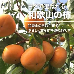 食べやすい 干し柿 20パック入り(25g×2...の詳細画像1