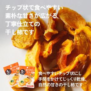 食べやすい 干し柿 10パック入り(25g×1...の詳細画像2