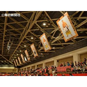 若隆景 渥 関 優勝ミニ額 大相撲 ミニ額 大...の詳細画像2