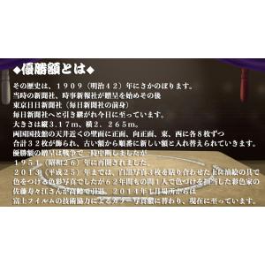 若隆景 渥 関 優勝ミニ額 大相撲 ミニ額 大...の詳細画像3