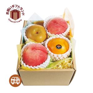 季節の果物の詰め合わせ   ホシフルーツ おまかせ旬のフルーツBOX B HFFS-S25   出産内祝い お中元 お歳暮 お手土産 母の日 父の日