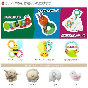 はらぺこあおむし 出産祝い 名入れ 身長計付バ...の詳細画像1