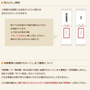 mikihouse シャギーベア ぬいぐるみ ...の詳細画像4