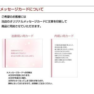 はらぺこあおむし どこでもソフトブック ミニ ...の詳細画像3