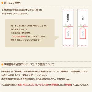 チョコレート ケーキ ミニ おむつケーキ おむ...の詳細画像4