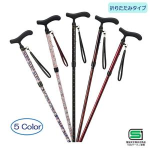 DUNLOP (ダンロップホームプロダクツ) ダンスロープエアー2 R DUNLOP (ダンロップホームプロダクツ) ダンスロープエアー2 R