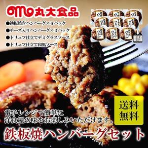 ( 丸大食品 ) 2022 お中元 ギフト 鉄板焼ハンバーグセット｜gift-only