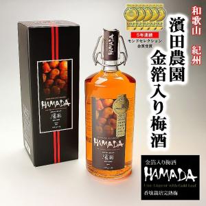 泡波 [大阪府内限定発送商品］波照間酒造 泡盛 一升瓶/1800ml 30