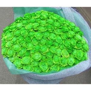 ( フラワーギフト ) バラの花束 / 100本 / グリーン お祝い 記念日 生花 プレゼント 薔薇 ばら