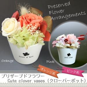 プリザーブドフラワー・アレンジ　- Cute clover vases（クローバーポット）｜gift-only