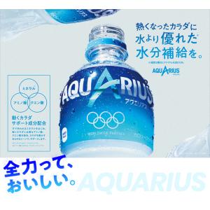 アクエリアス 250g 缶×30本 スポーツ 飲料 aquarius - ショッピング