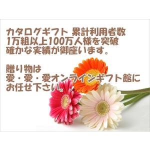 カタログギフト ほのか 穂乃香 香典返し・法事...の詳細画像2