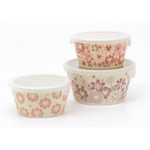 三郷陶器 レンジパック3点セットMSS レンジパック 食器 セット