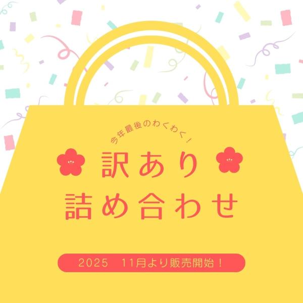 2025年年末訳あり品詰め合わせセット 特価品 訳あり品