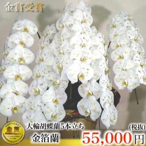 5本立ち金箔蘭　縁起のいい金箔胡蝶蘭　長寿の祝いから就任祝いなどに人気