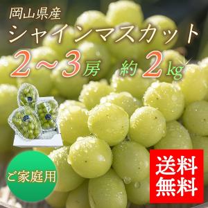 シャインマスカット 訳あり 岡山 ご家庭用 2-3房入り 約2kg 送料無料 マスカット ぶどう 岡山県産 お中元 御中元 家庭用 お徳用 お得用 産地直送 フルーツ 果物