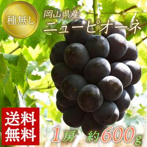 岡山県産 ピオーネ 約600g 1房入 ぶどう ...の商品画像