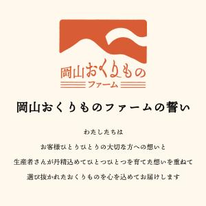 岡山県産 ピオーネ 約600g 1房入 ぶどう...の詳細画像4