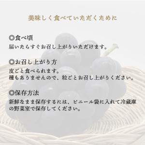 岡山県産 ピオーネ 3~4房入り 約2kg ぶ...の詳細画像1