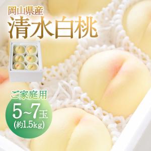 清水白桃 岡山県産 約1.5kg ご家庭用 5-7玉入り 白桃 岡山 お中元 御中元 訳あり お徳用 お得用 おかやま 桃 もも モモ ピーチ 産地直送 送料無料｜岡山おくりものファーム