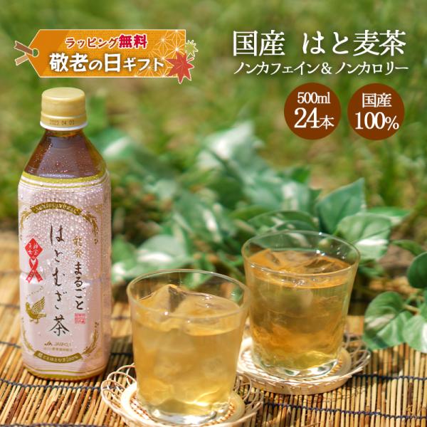 母の日 ギフト お茶 はと麦茶 はとむぎ茶 ペットボトル 500ml 24本 JAはくい 能登産 ハ...