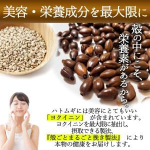 父の日 ギフト お茶 はと麦茶 はとむぎ茶 ペ...の詳細画像3