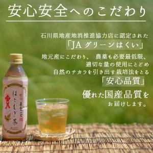 父の日 ギフト お茶 はと麦茶 はとむぎ茶 ペ...の詳細画像5