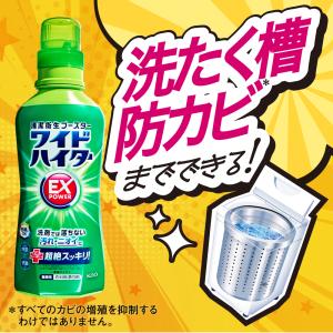 ワイドハイター EX パワー 詰替 450ml...の詳細画像3
