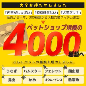【 ペットグッズをあげる えらべるギフト】ペッ...の詳細画像1
