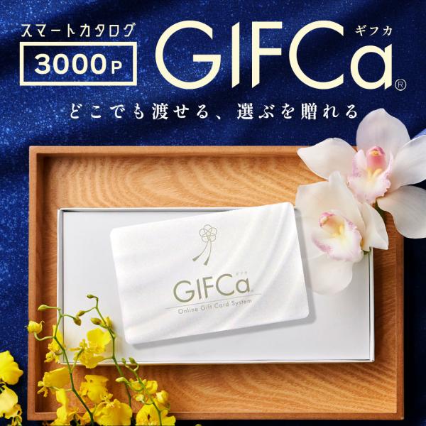 ギフトカード ( 3000ポイント ) GIFCa カタログギフト ギフトカタログ 香典返し プレゼ...