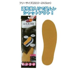 【メール便対応 一個口で6個まで同梱可】活性炭消臭　靴の中敷き 女性用　ソフトクッションメッシュインソール　seiwa40-644AK