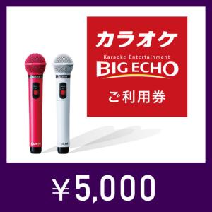 カラオケ ビッグエコー　デジタルご利用券（5,000円）