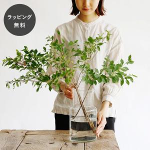 バカラ（Baccarat） ベース 花瓶 アルクール バラスター ブルー 32cm