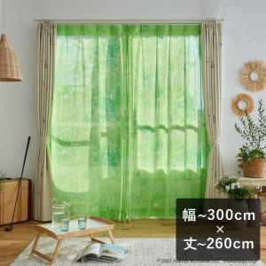 ボイル レース カーテン スヌーピー ピーナッツ Field voile フィールドボイル グリーン 幅〜300cm×丈〜260cm