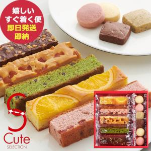 ひととえ キュートセレクション 11号 CSB-10 中島大祥堂 Hitotoe (あすつく) 送料無料【のし包装可】_｜gifthare