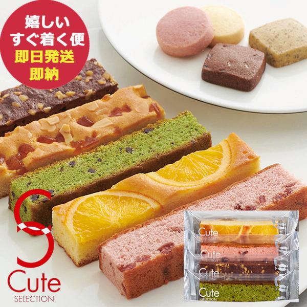 ひととえ キュートセレクション 4号 CSB-6 中島大祥堂 Hitotoe (あすつく) 送料無料...