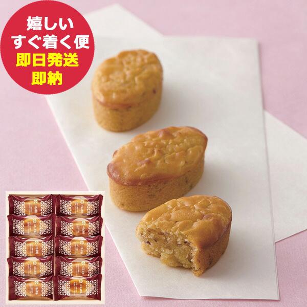 ひととえ こがね芋 10号 KGB-10 (即日発送) 【 鳴門金時 芋 スイートポテト 中島大祥堂...