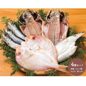 魚 干物 種類の商品一覧 通販 Yahoo ショッピング