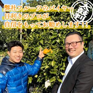 2026年2月中旬〜5/15お届け フルーツ ...の詳細画像2