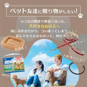 【メール便 】 カタログギフト カードタイプ ...の詳細画像3