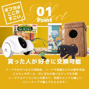 カタログギフト カードタイプ ペットギフカ ペ...の詳細画像5