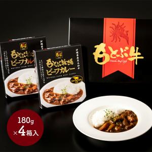 父の日 2024 もとぶ牧場ビーフカレーギフト 180g 4箱 カレー レトルト 惣菜 お取り寄せ 手土産 お祝い 贈答品 内祝い お礼 ギフト 個包装 送料無料 MB006｜gifthyakka