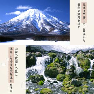 お中元 2026 スイーツ 北海道 羊蹄山 名...の詳細画像2