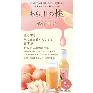 敬老の日 2026 あら川の桃 60% ドリン...の詳細画像2