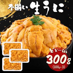 うに ウニ 天然生ウニ 100g×3パック 雲丹 ミョウバン不使用 完全無添加