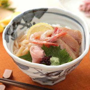 お中元 2024 杉与 北陸海鮮づけ丼の具 お惣菜 お取り寄せグルメ 特産 お祝い 詰め合わせ 内祝い お礼 ギフト プレゼント お返し 送料無料 NH002 父の日 御中元｜gifthyakka