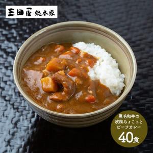 母の日 2024 ギフト 食べ物 レトルトカレー 業務用 三田屋総本家 黒毛和牛の欧風ビーフカレー 保存食品 日持ち お取り寄せグルメ 送料無料 SK1507 高級｜gifthyakka